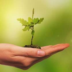 ontwerpprincipes met een wereldwijde impact